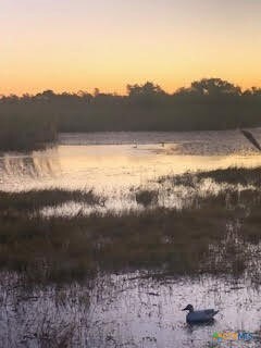 Wonderful sunset with wildlife abundant!