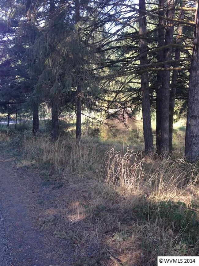 0 Mirror Pond Estates Lot 2 unit 682783, Amity, OR 97101 - photo 6