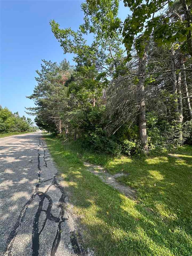 TBD Sheridan, Petoskey, MI 49770 - photo 7