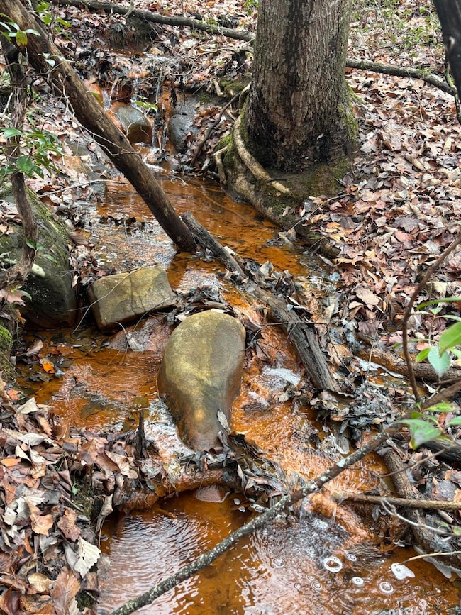 3699 Crockett Pointe, Jasper, TN 37347 - photo 4