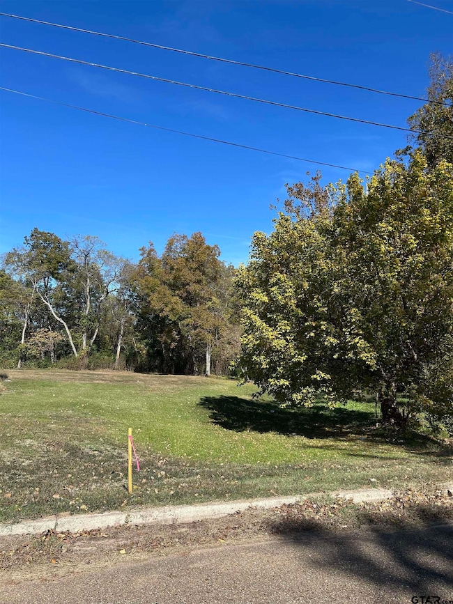 TBD Keith St, Mount Vernon, TX 75457 - photo 6