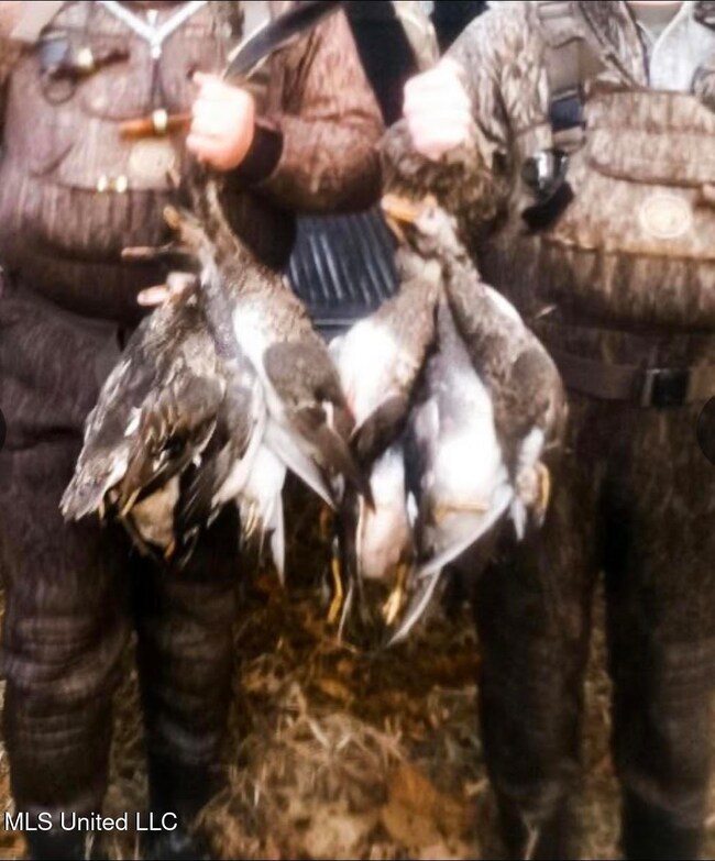 0 County Road 526 unit 4103391, Minter City, MS 38944 - photo 6