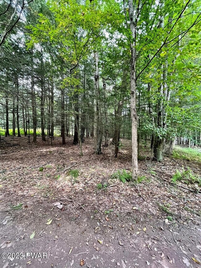 45 Jacob Rd, Waymart, PA 18472 - photo 4