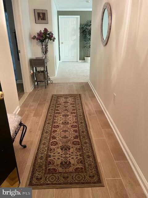 137 Timberbrook Ln unit 102, Gaithersburg, MD 20878 - photo 4