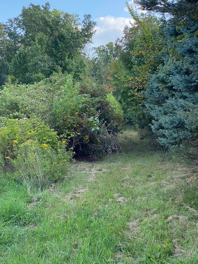 V/L Watkins Rd, Battle Creek, MI 49015 - photo 3