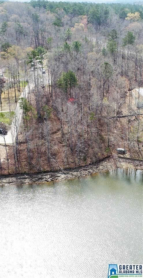 0 Camellia Ln unit 74, Wedowee, AL 36278 - photo 5