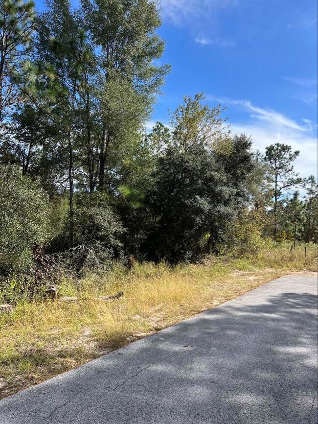 0 SW Azalea Ct unit MFRU8219363, Dunnellon, FL 34431 - photo 7