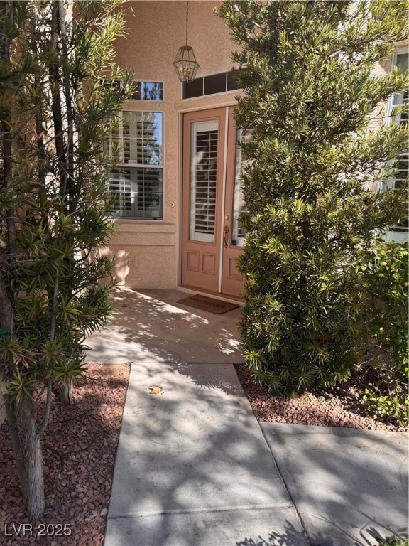 View of exterior entry with a patio area and stucc