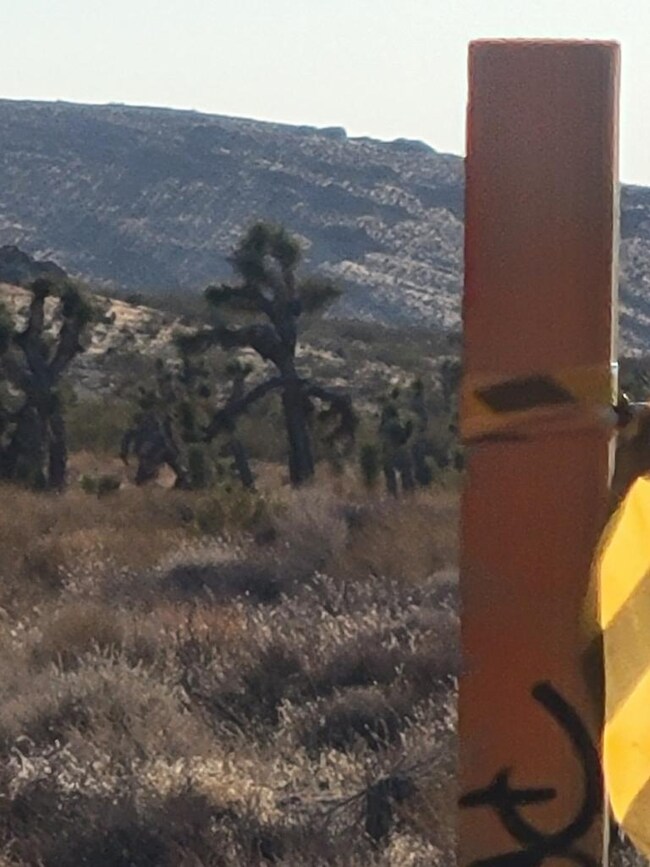 1 Mojave-Tropico Rd, Rosamond, CA 93560 - photo 3