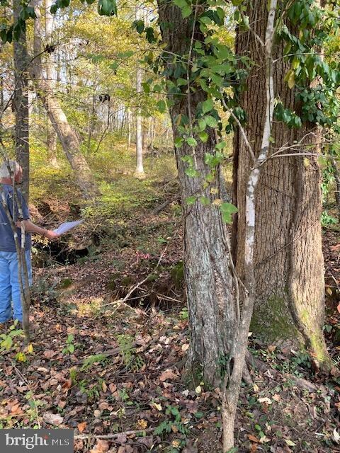 Lot B4 Mountain Ridge Way, Culpeper, VA 22701 - photo 7