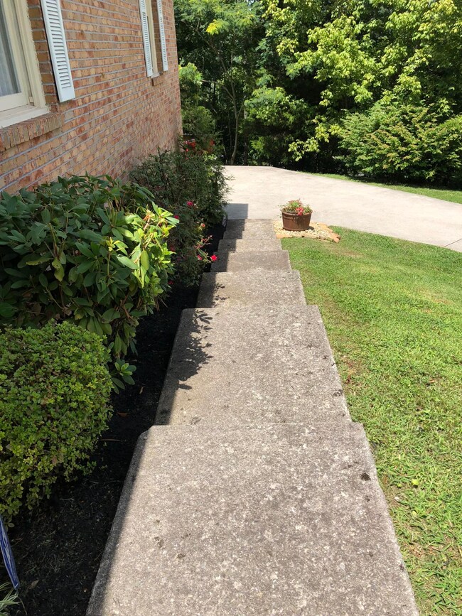 front entrance steps