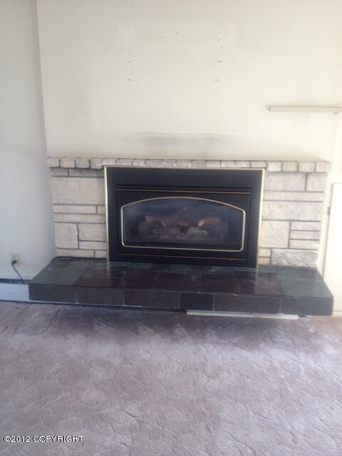 1415 Marten St, Anchorage, AK 99504 - photo 5