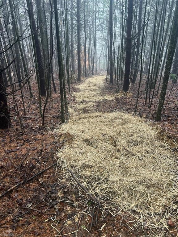 Walking Trail to evaluate lot