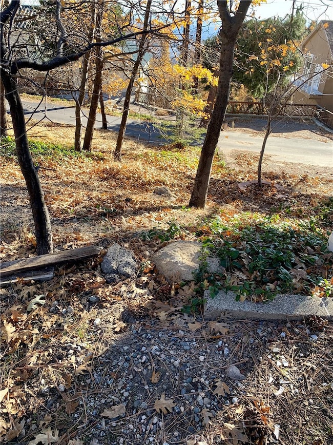 40 Park Dr, Running Springs, CA 92382 - photo 3