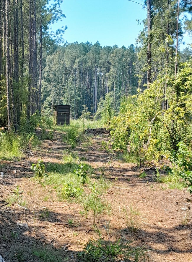 Tbd White Store Rd, Wadesboro, NC 28170 - photo 3