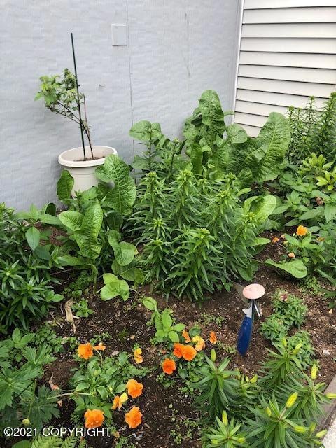 Lush Gardens