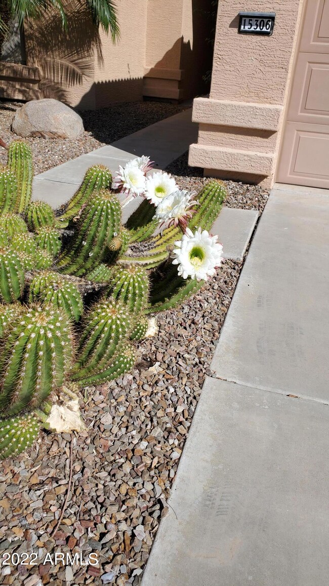 Colorful curb appeal