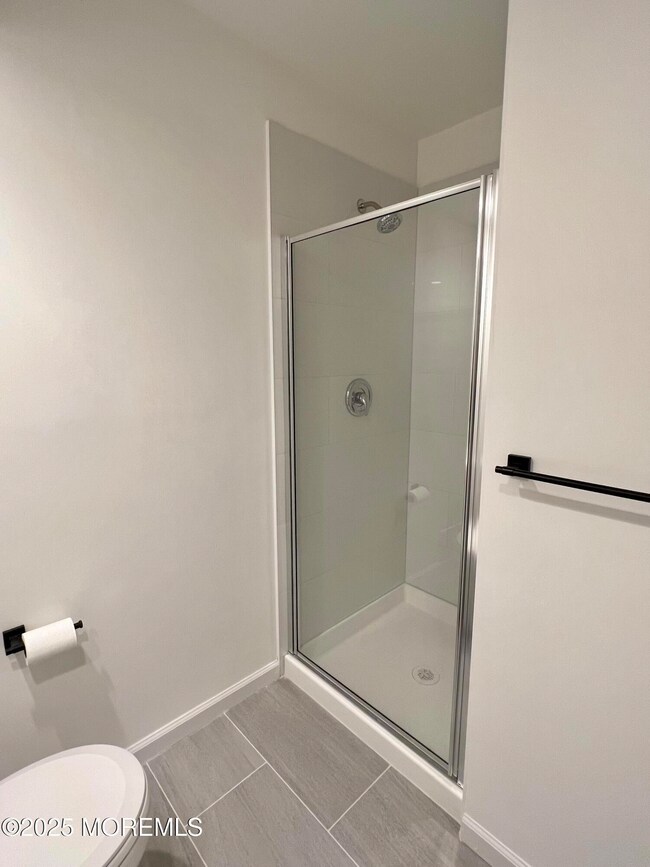 Hall_bathroom_shower