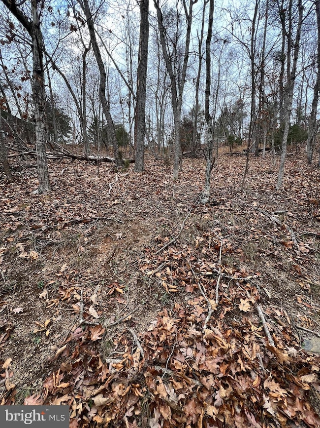 0 Hampton St unit VASH2013120, Basye, VA 22810 - photo 2