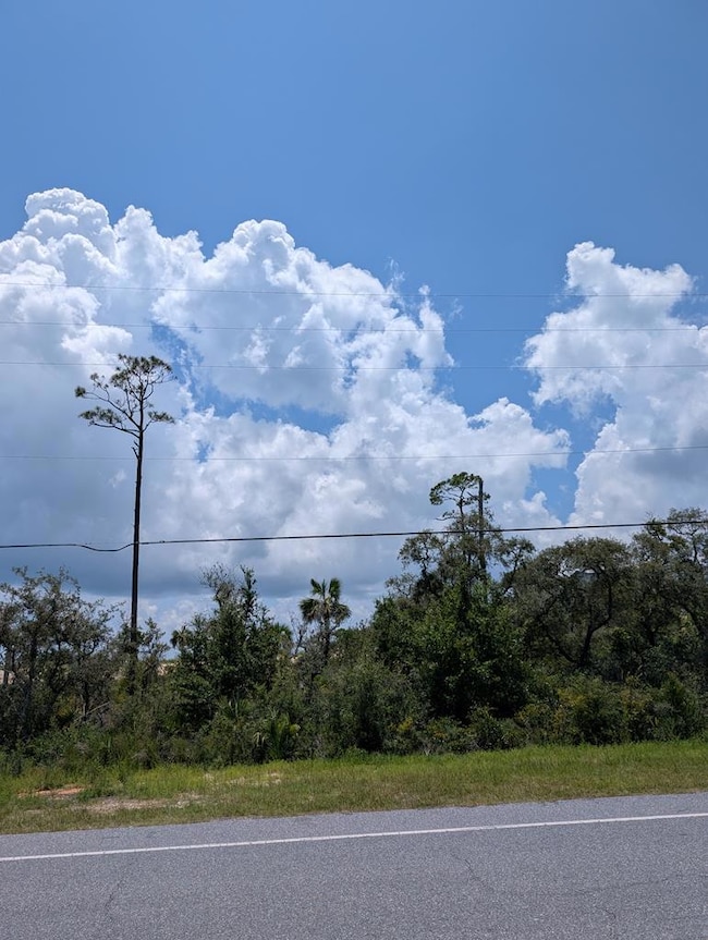 Lot 19 Cr 30-A, Port St. Joe, FL 32456 - photo 2