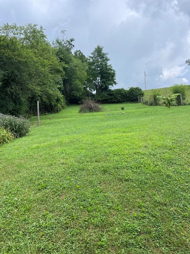 Back of Lot