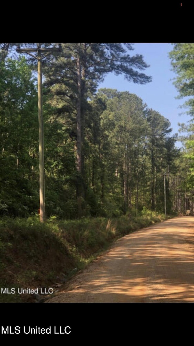 No Shows Rd, Waynesboro, MS 39367 - photo 4