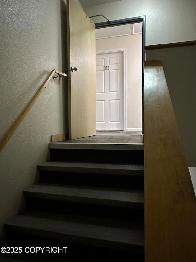 Stairway Door