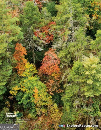 LOT 29 Raven Ridge Rd, Clayton, GA 30525 - photo 2