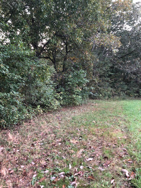 0 Cowhorne Hollow Rd unit RTC2300968, Prospect, TN 38477 - photo 6