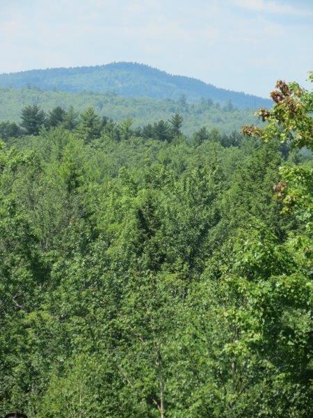 37-7 Upper Ridge Rd, Bridgton, ME 04009 - photo 4