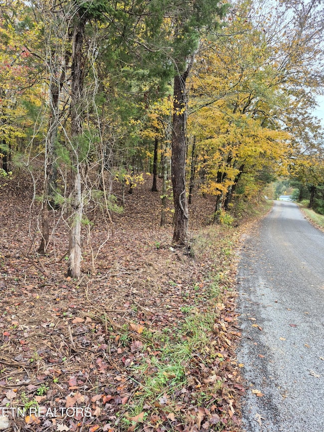 265 Jd Farm Rd, Tellico Plains, TN 37385 - photo 4