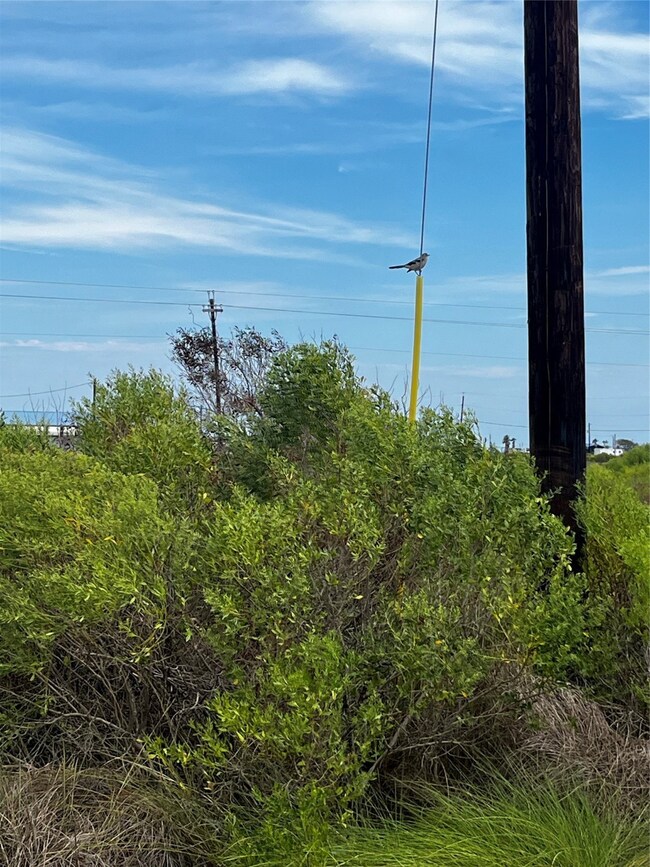 0 Blue Water unit 73923465, Sargent, TX 77414 - photo 5