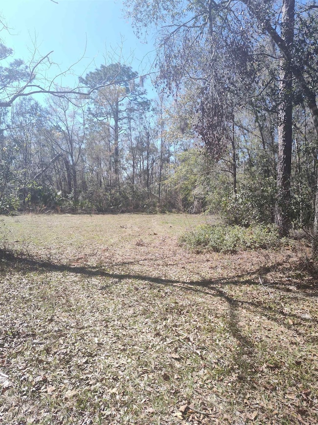 000 Strickland Landing Ct, Perry, FL 32348 - photo 7