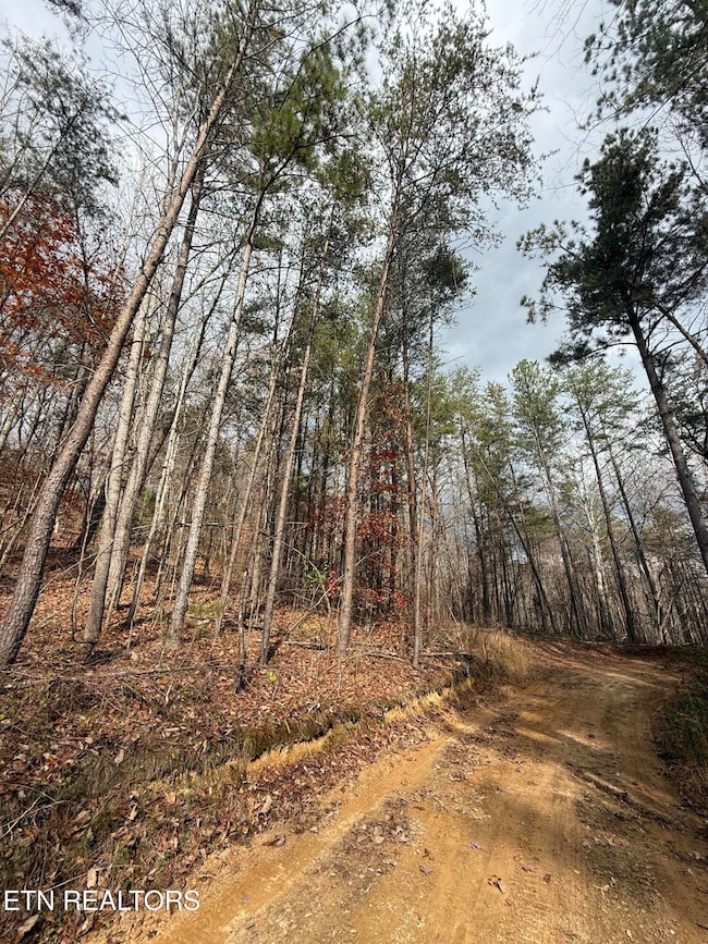 Lot 2 Parksville Rd, Benton, TN 37307 - photo 2