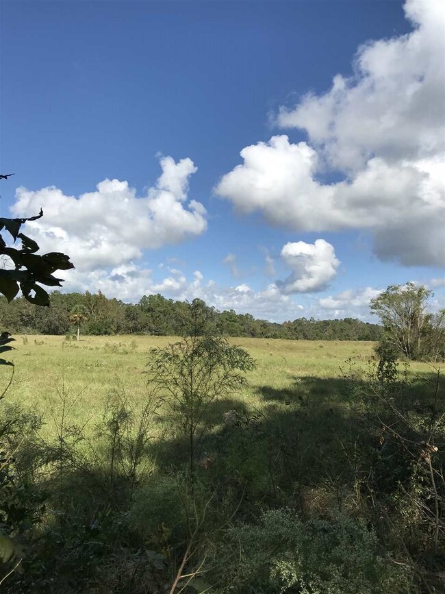 xxx Rehwinkel Rd, Crawfordville, FL 32327 - photo 5