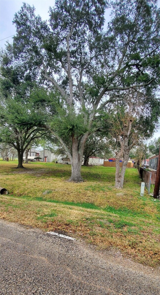 0 Blum St, Alvin, TX 77511 - photo 5