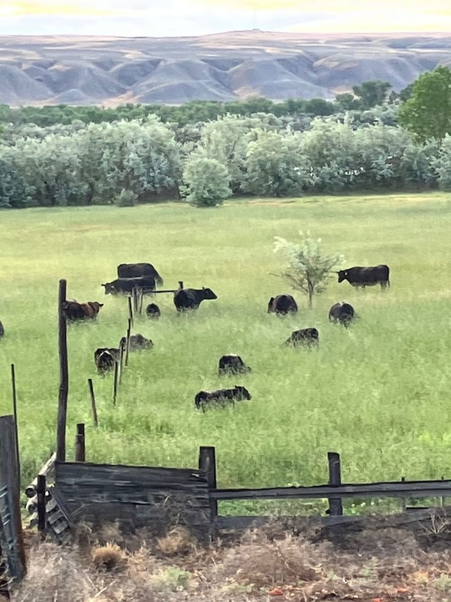 4127 Golf Course Rd, Basin, WY 82410 - photo 3