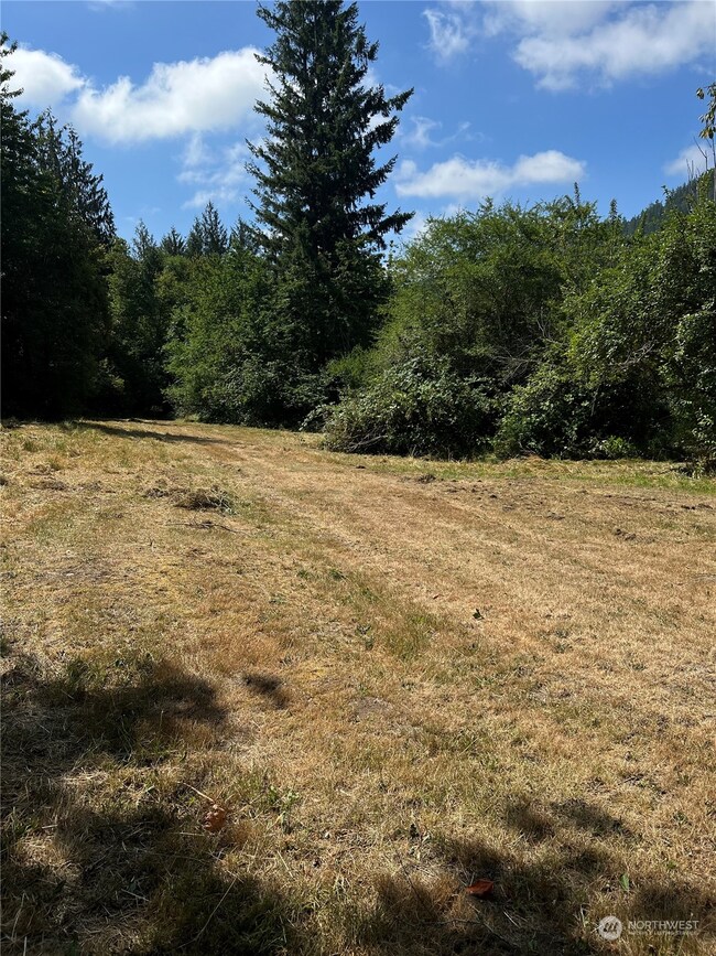 47031 286th Ave SE, Enumclaw, WA 98022 - photo 2