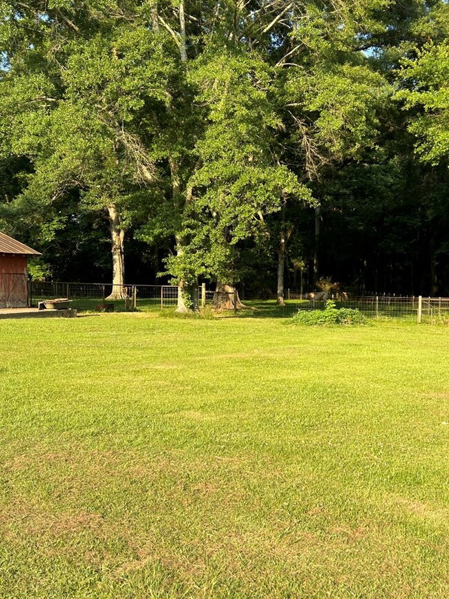 1185 Old Highway 24, McComb, MS 39648 - photo 5