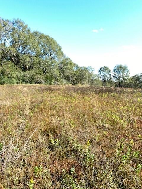 unlisted-address, Franklinton, LA 70438 - photo 4