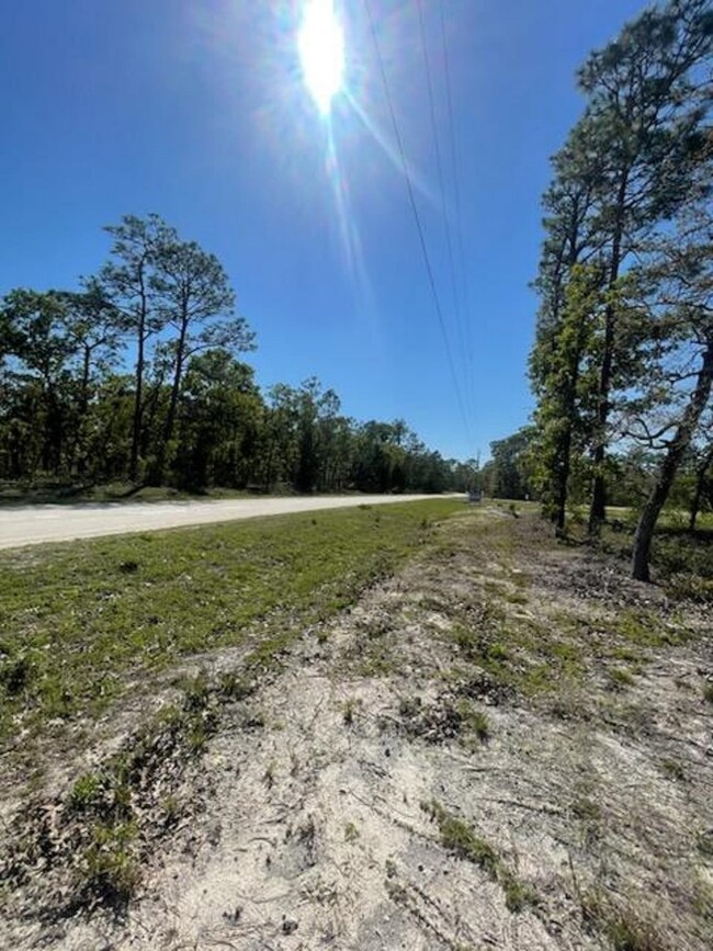 000 Red Oak Rd, Keaton Beach, FL 32348 - photo 6