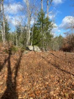 0 That Way Lot #9 unit 1541717, West Bath, ME 04530 - photo 4