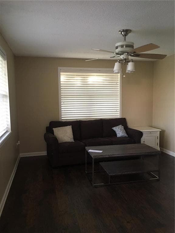 Living Room with lots of Natural Light