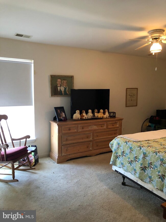 2021 Rudy Serra Dr unit 3A, Sykesville, MD 21784 - photo 7