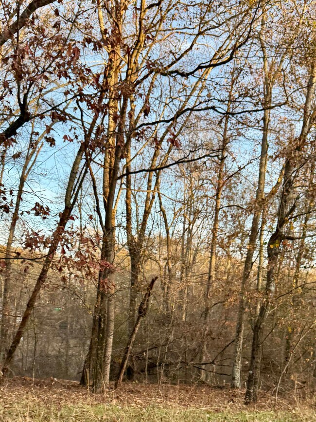 0 Old Furnace Rd, Boiling Springs, SC 29316 - photo 5