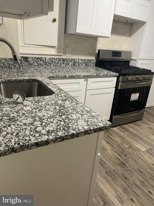 2818 Pelham Ave, Baltimore, MD 21213 - photo 2