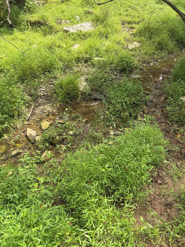 TBD Cornerstone Rd, Independence, VA 24348 - photo 5