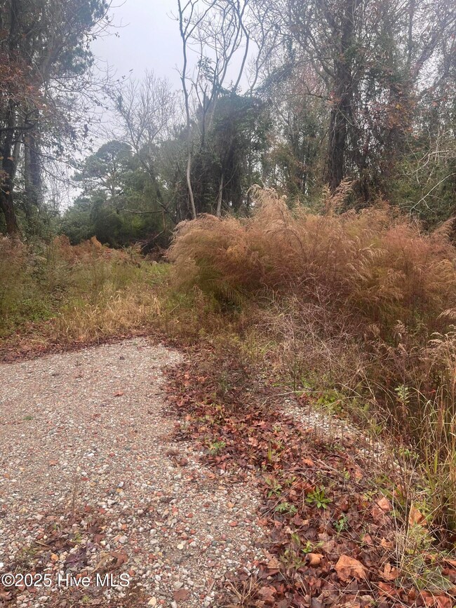 202 South, Beaufort, NC 28516 - photo 6