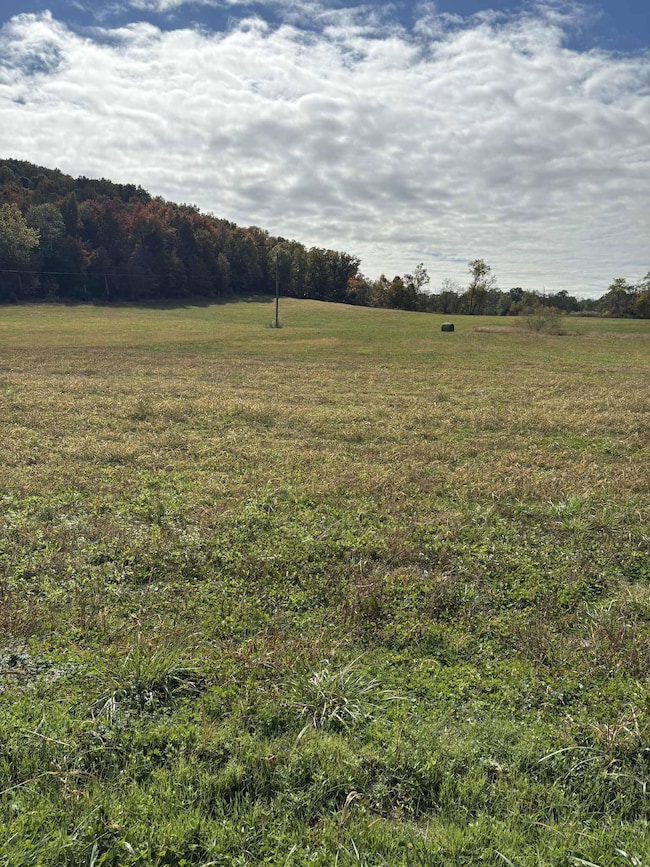 Pine Grove Ch Rd, Vanceburg, KY 41179 - photo 2