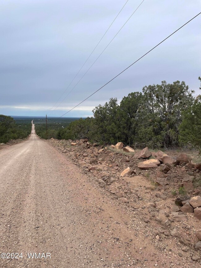 1 Cr 8117, Concho, AZ 85924 - photo 5